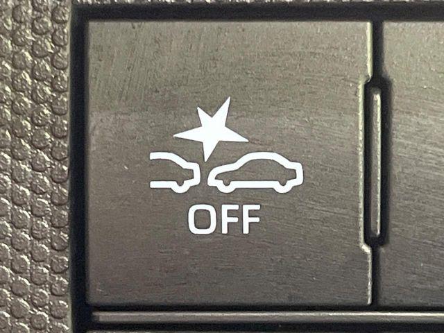 タフト（新潟県長岡市）画像40