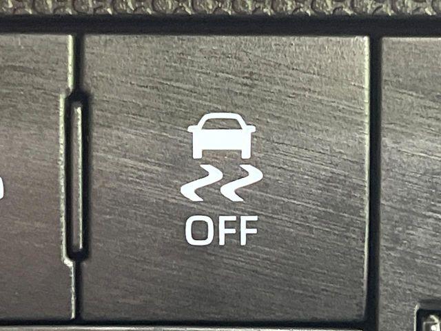 タフト（新潟県長岡市）画像41