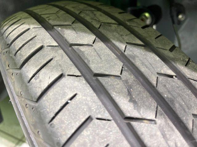 タフト（新潟県長岡市）画像53