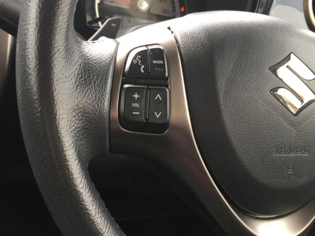 ハスラー（新潟県阿賀野市）画像13