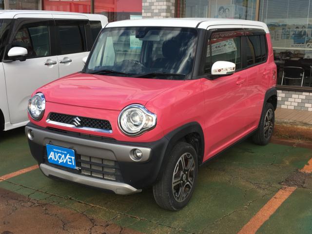 ハスラー（新潟県阿賀野市）画像2