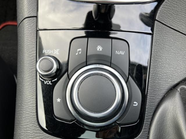 アクセラスポーツ（新潟県新潟市南区）画像15