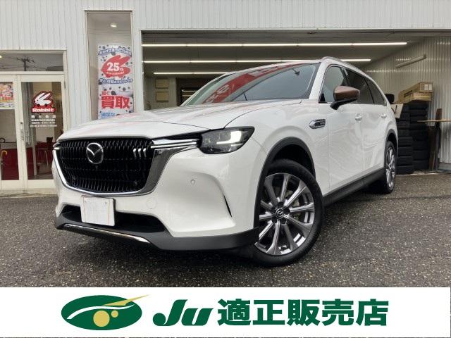 CX-80（新潟県燕市）画像2