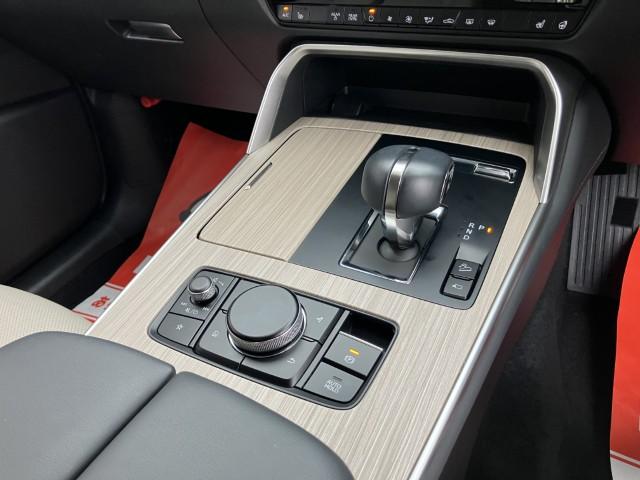 CX-80（新潟県燕市）画像22