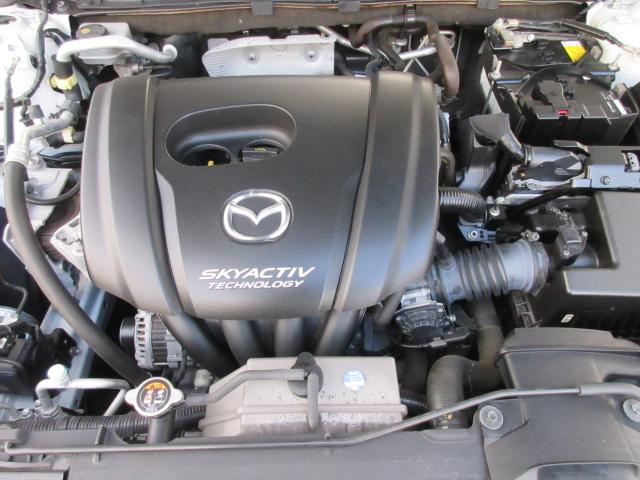 アクセラスポーツ（新潟県新潟市東区）画像26