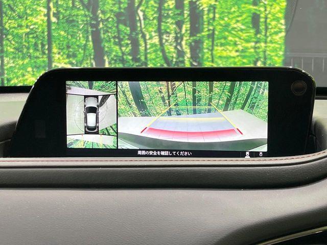 ＣＸ－３０（新潟県長岡市）画像5