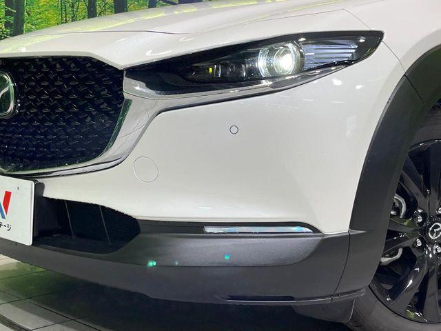 ＣＸ－３０（新潟県長岡市）画像14