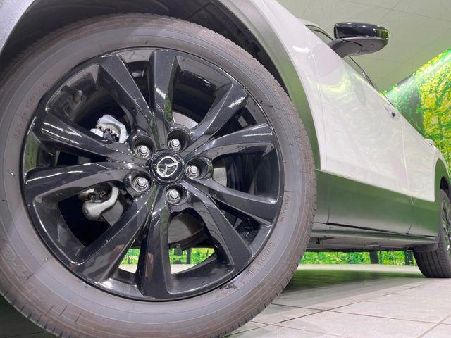 ＣＸ－３０（新潟県長岡市）画像15