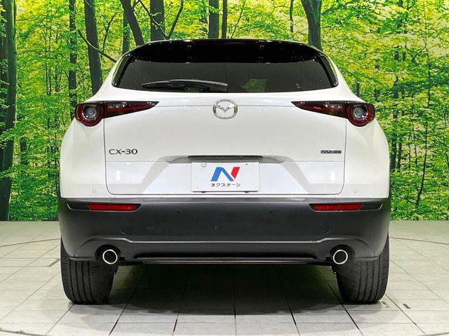 ＣＸ－３０（新潟県長岡市）画像17