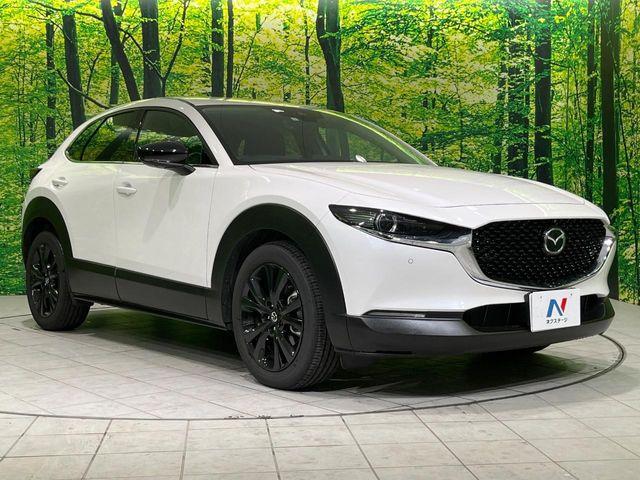 ＣＸ－３０（新潟県長岡市）画像18