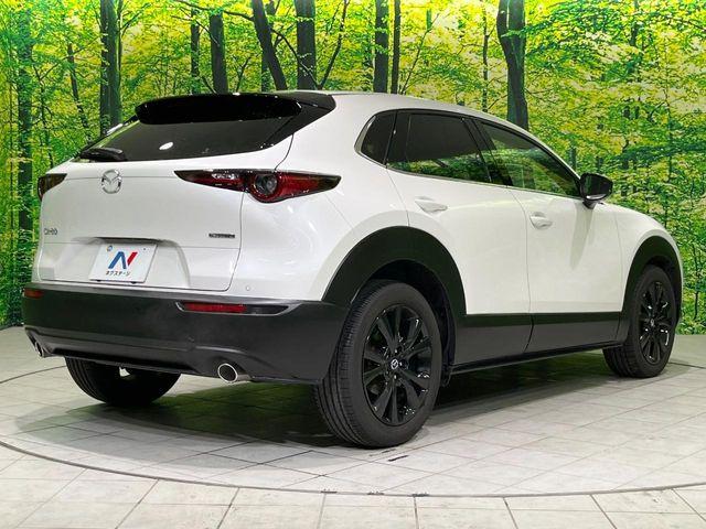 ＣＸ－３０（新潟県長岡市）画像19