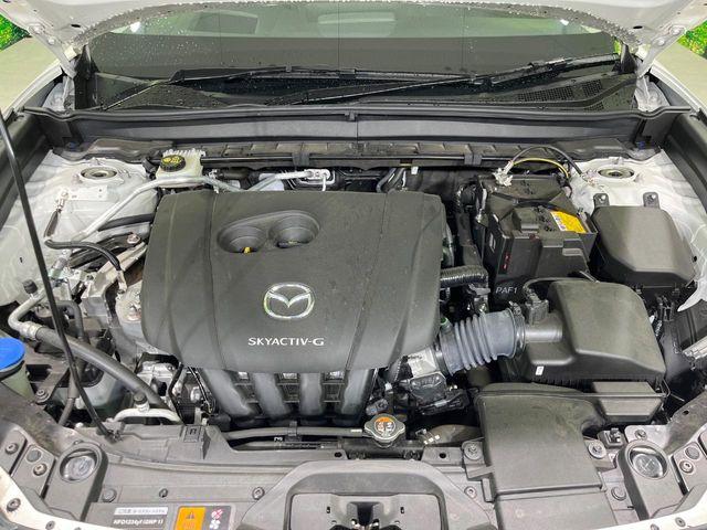 ＣＸ－３０（新潟県長岡市）画像20