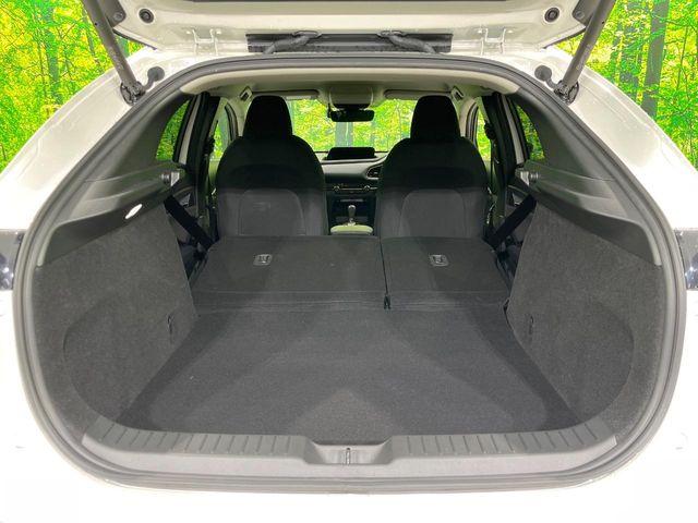 ＣＸ－３０（新潟県長岡市）画像30