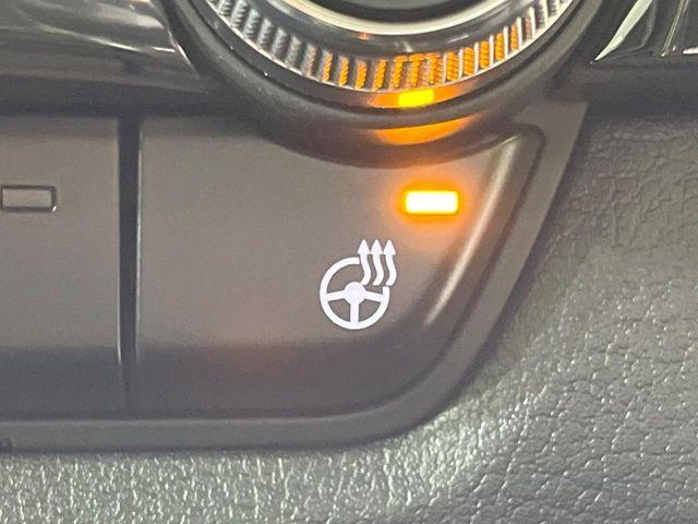 ＣＸ－３０（新潟県長岡市）画像47