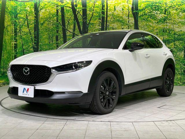 ＣＸ－３０（新潟県長岡市）画像73