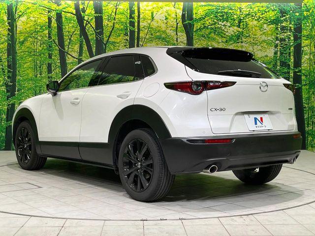 ＣＸ－３０（新潟県長岡市）画像75