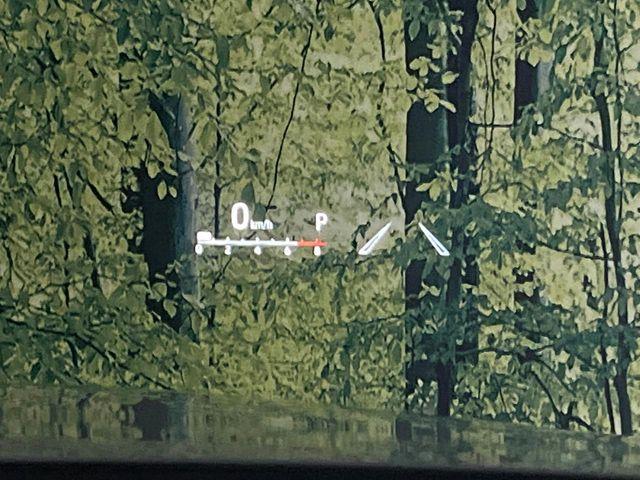 ハリアー（新潟県新潟市東区）画像54