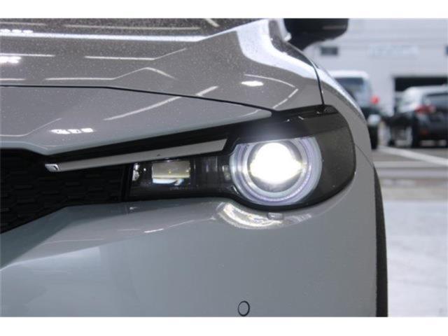 MX-30（新潟県新潟市東区）画像17