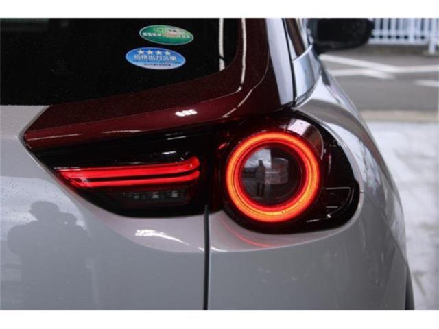 MX-30（新潟県新潟市東区）画像22