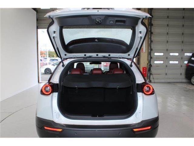 MX-30（新潟県新潟市東区）画像38