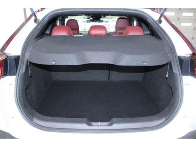 MX-30（新潟県新潟市東区）画像39