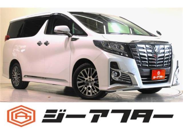 アルファード（新潟県新潟市東区）