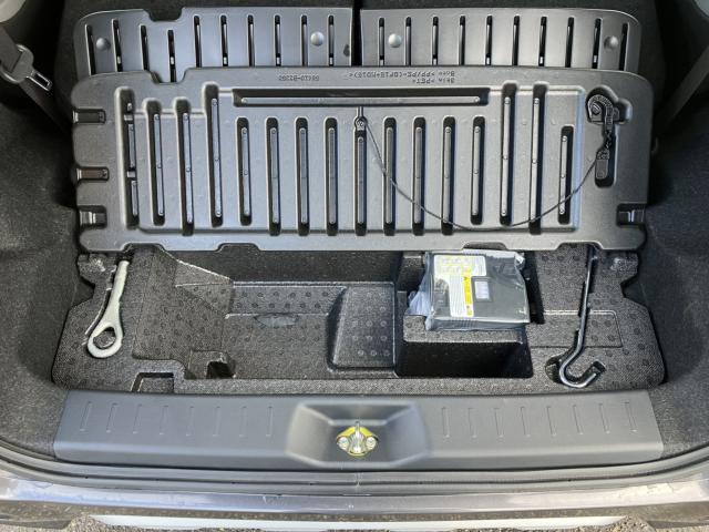 キャスト（新潟県新潟市西蒲区）