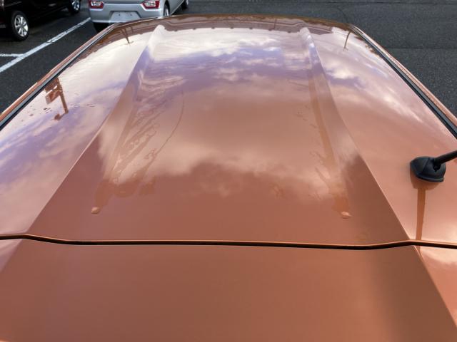 デイズ（新潟県新潟市西蒲区）