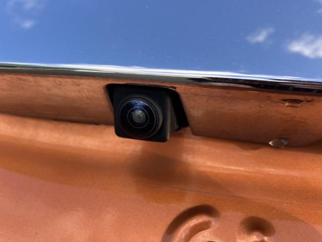 デイズ（新潟県新潟市西蒲区）