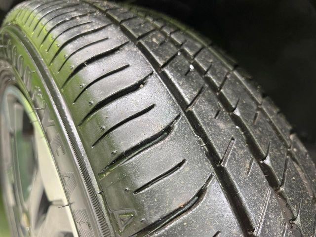 キャスト(新潟県長岡市)