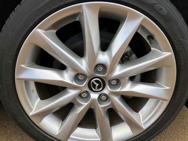 アクセラスポーツ（新潟県新潟市南区）