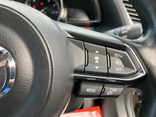 アクセラスポーツ（新潟県新潟市南区）