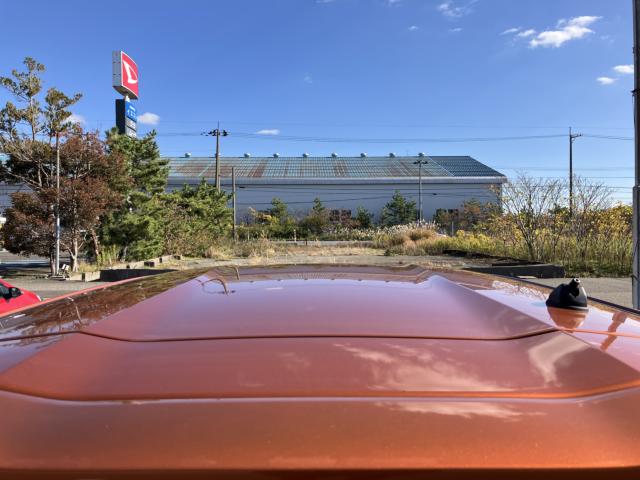 デイズ（新潟県新潟市西蒲区）画像22