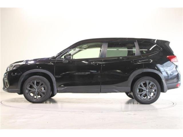 フォレスター(新潟県新潟市東区)