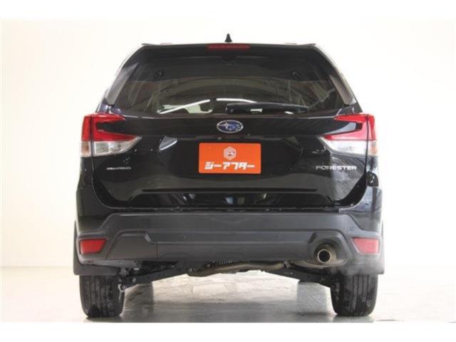 フォレスター(新潟県新潟市東区)