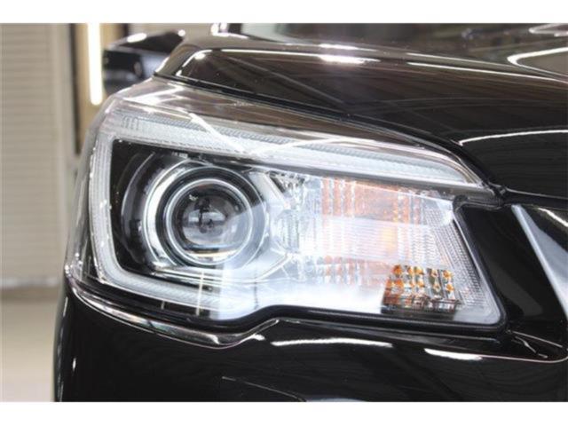 フォレスター(新潟県新潟市東区)