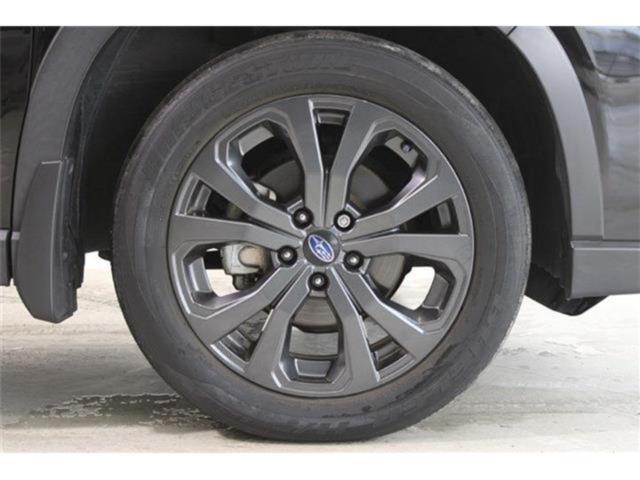 フォレスター(新潟県新潟市東区)