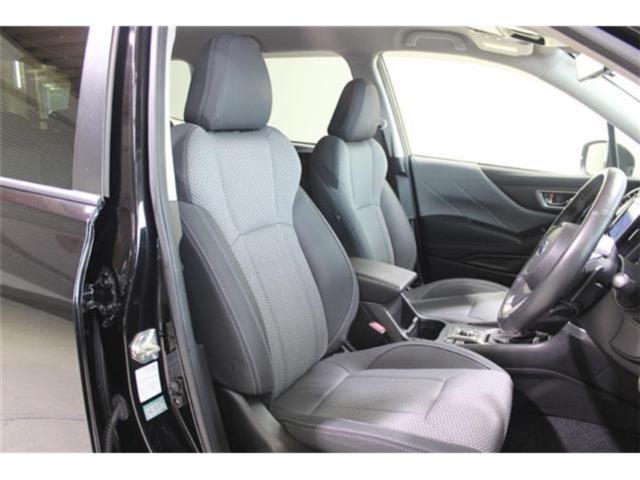 フォレスター(新潟県新潟市東区)