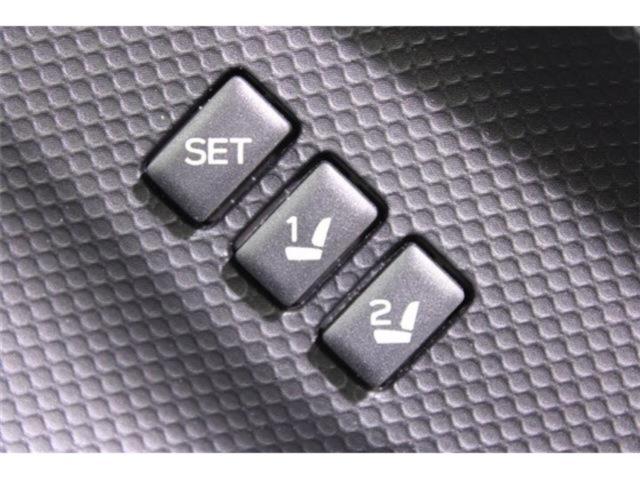 フォレスター(新潟県新潟市東区)