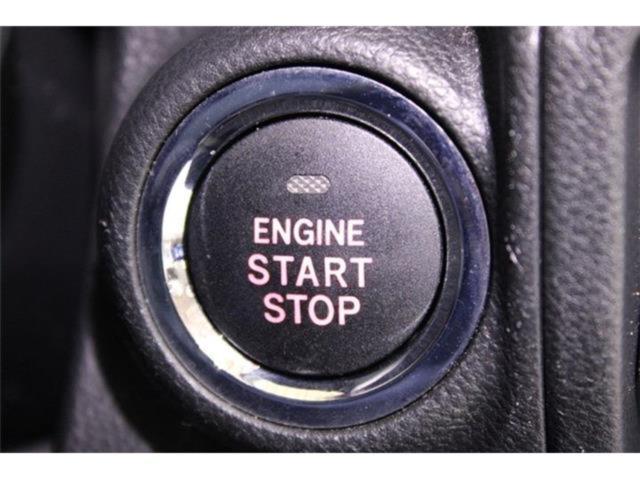 フォレスター(新潟県新潟市東区)