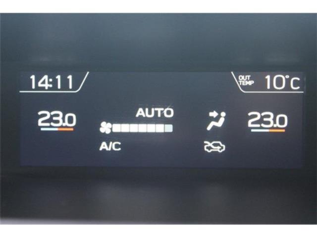 フォレスター(新潟県新潟市東区)