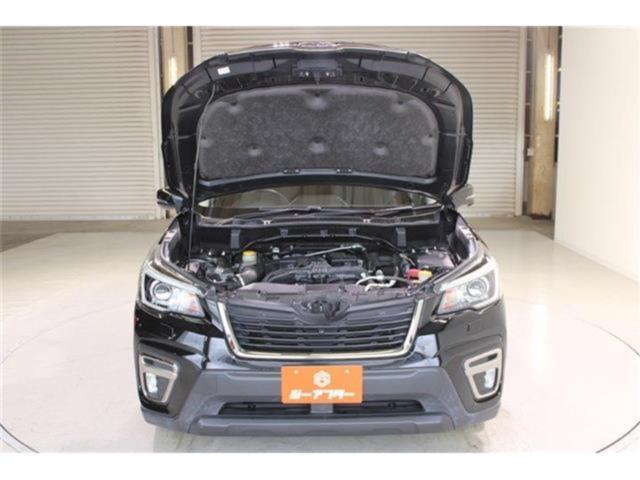 フォレスター(新潟県新潟市東区)