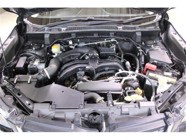 フォレスター(新潟県新潟市東区)