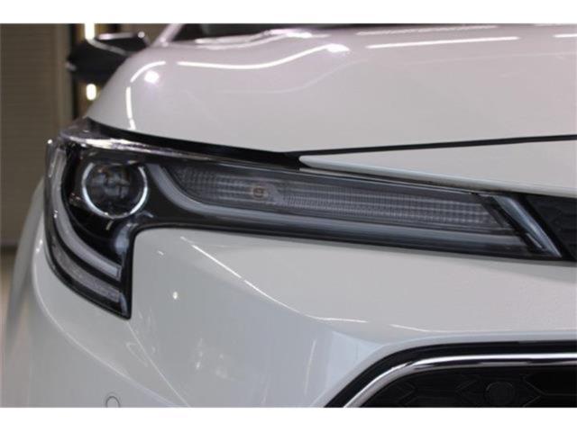 カローラ（新潟県新潟市東区）画像19