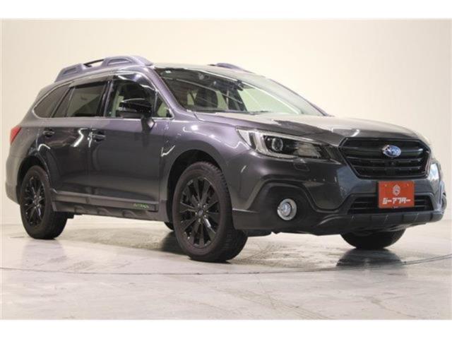 アウトバック（新潟県新潟市東区）画像8