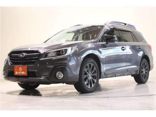 アウトバック（新潟県新潟市東区）画像10