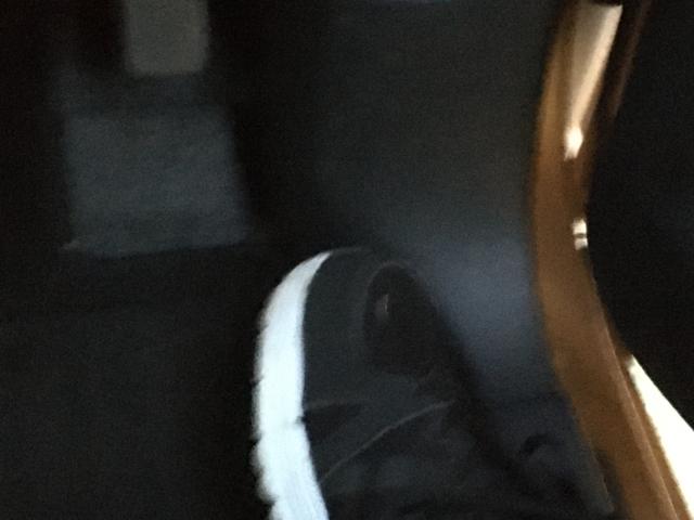 デイズルークス(新潟県阿賀野市)