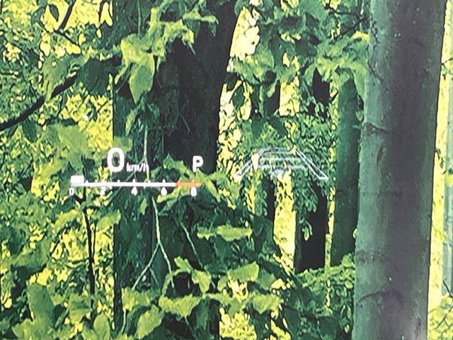 ヴォクシー（新潟県新潟市南区）画像7