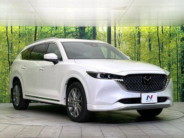 CX-8(新潟県新潟市東区)