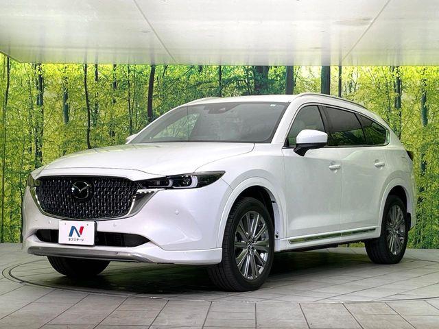 CX-8(新潟県新潟市東区)